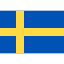 Manntek flag